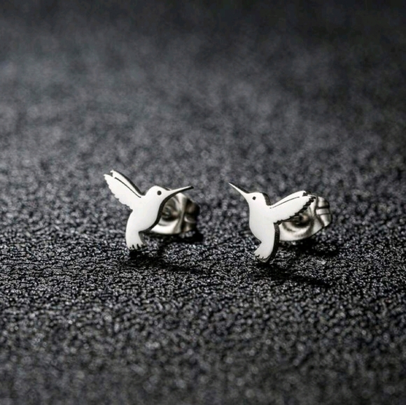 Jewelry - Silver Hummingbird Earrings
